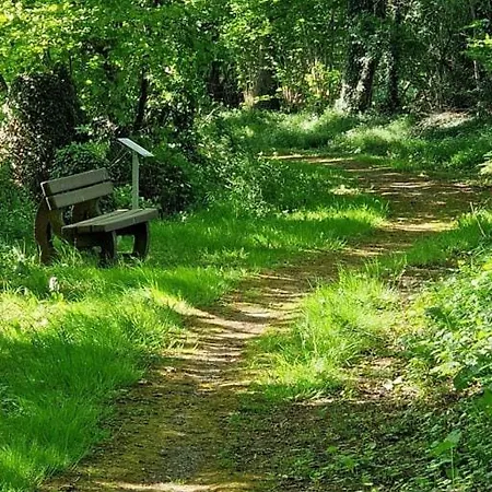 Apartment Mit Großem Garten Friedeburg (Lower Saxony)