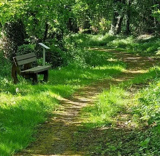 شقة Mit Grossem Garten Friedeburg (Lower Saxony)