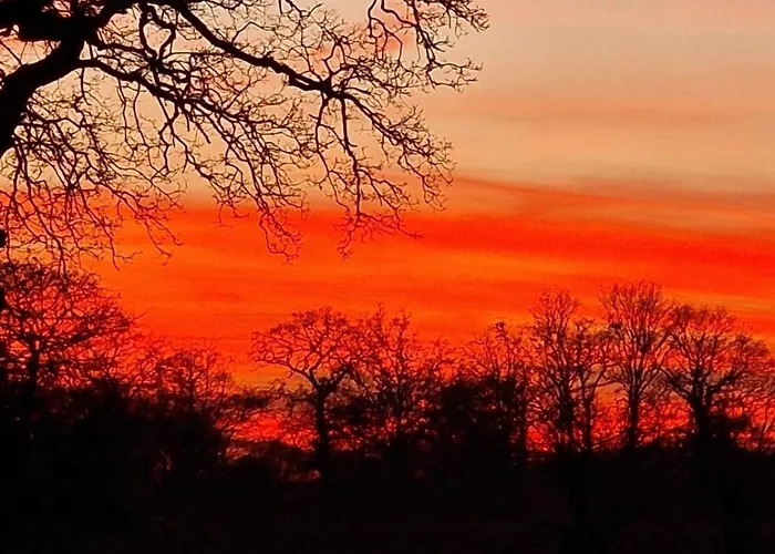 Mit Grossem Garten * Friedeburg (Lower Saxony)